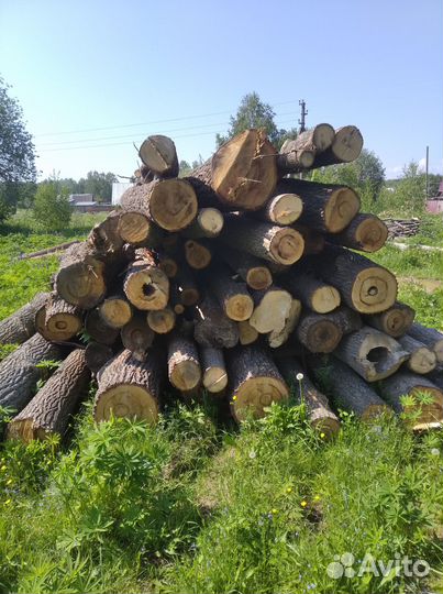 Спилы из дуба