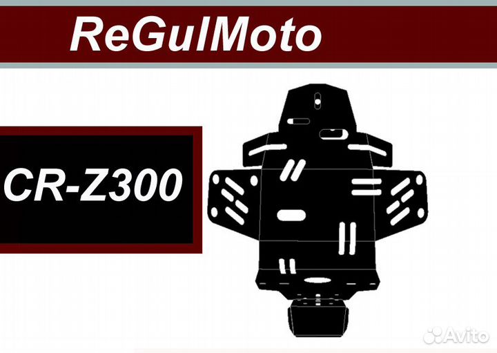 Защита двигателя на ReGulMoto CR-Z300