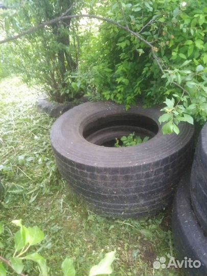 Жби кольца бу