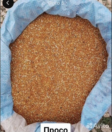 Зерносмеси, зерно: пшеница кукуруза просо, ячмень