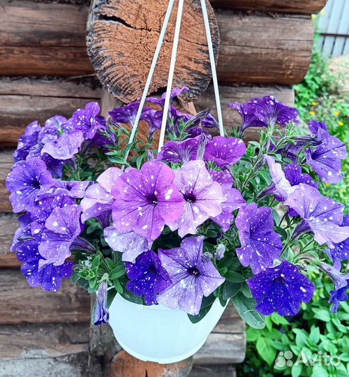 Подвесное кашпо