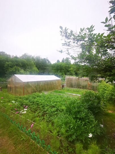 Участок 25 сот. (СНТ, ДНП)