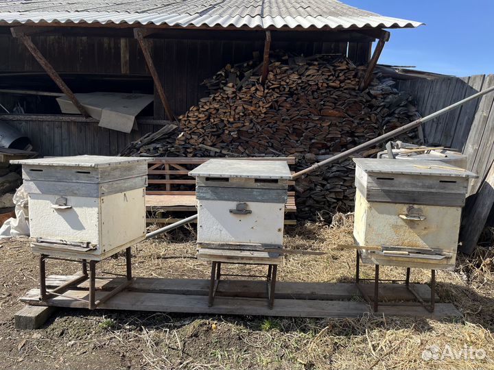 Продам пчелосемьи, Медогонку, Рамки