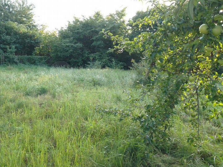 Участок 6 сот. (СНТ, ДНП)