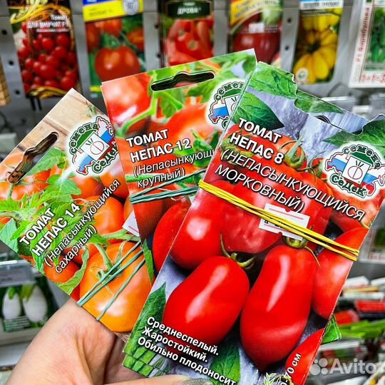 Семена томатов