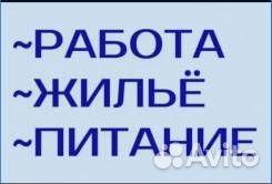 Упаковщик на Рыбу/Вахта