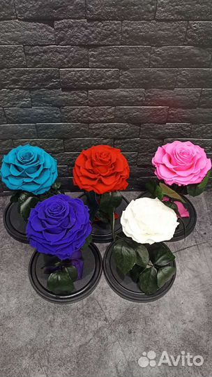 Розы в колбе