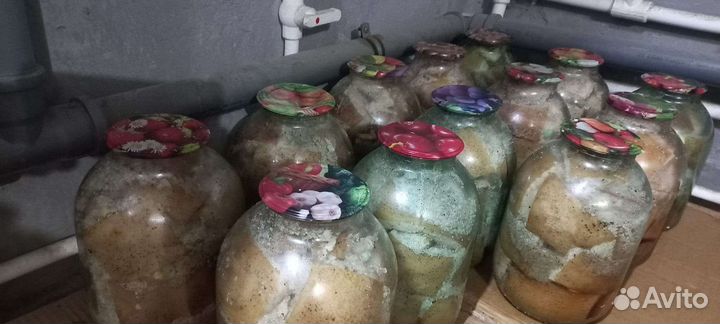 Сало в 3л банках