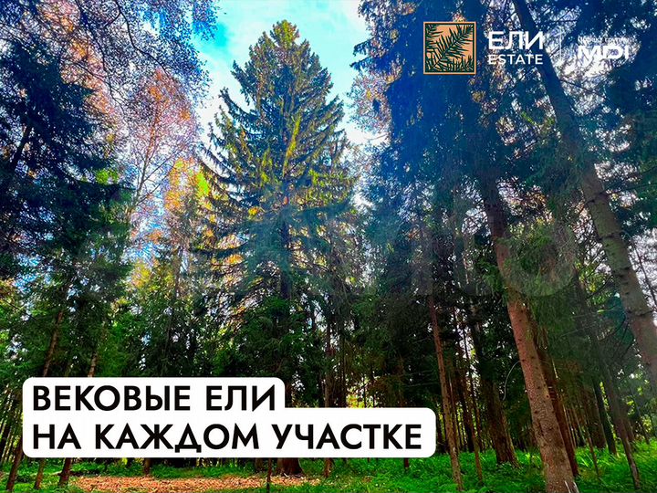 Участок 9,6 сот. (ИЖС)