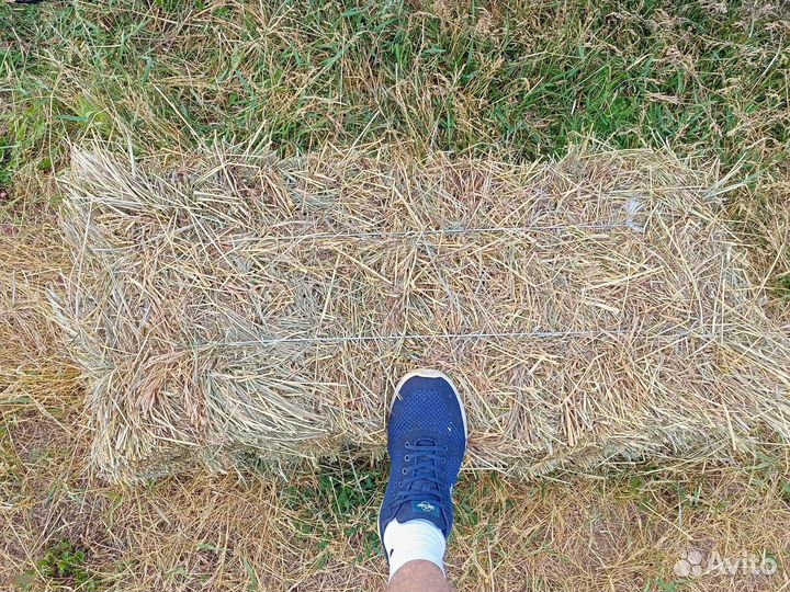 Сено в тюках