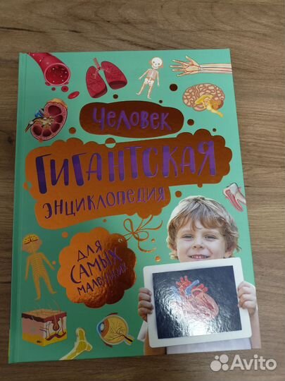 Гигантская энциклопедия для детей, человек