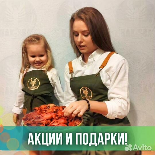 Живые гребешки Дальневосточные Приморские крупные