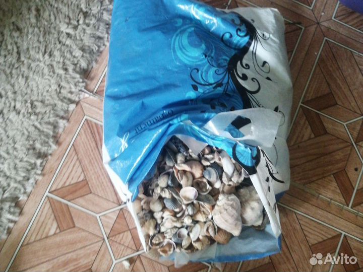 Морские ракушки и грунт для аквариума