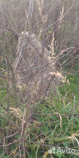 Маскировочный костюм снайпер profhunter