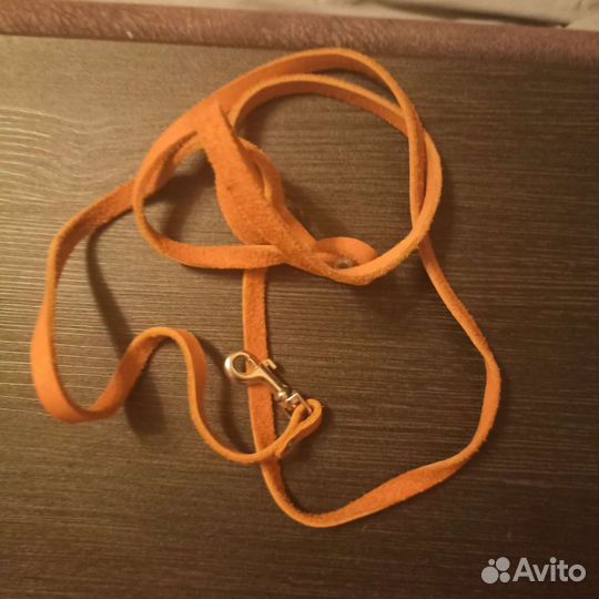 Ошейники и поводки для кошки, мелкой собачки