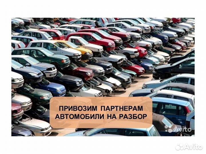 Готовый бизнес автозапчасти