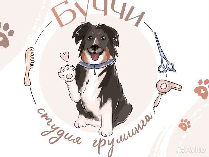 Груминг. Стрижка и уход для кошек и собак