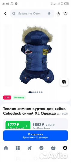 Одежда для собак мелких пород