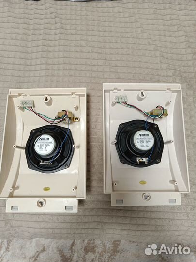 WP-06T roxton Настенный громкоговоритель