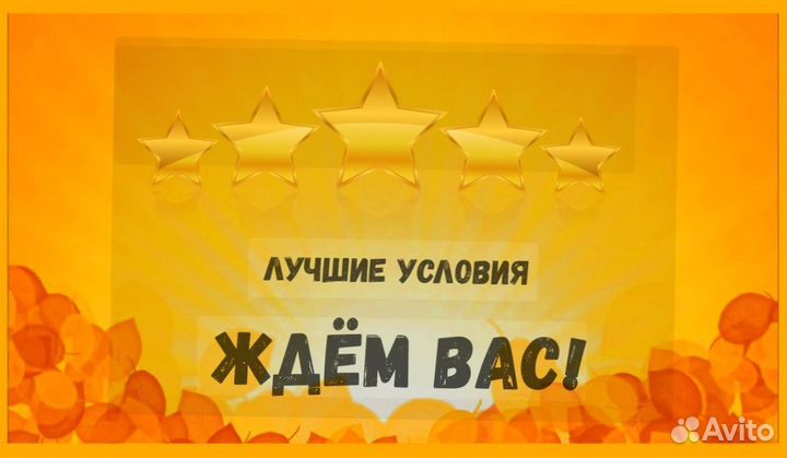 Наборщик заказов Без опыта Еженедельные выплаты