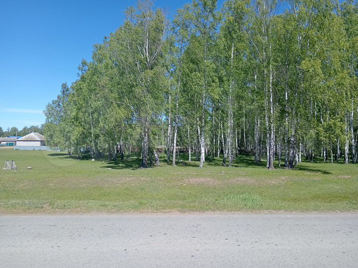 Участок 20 сот. (ИЖС)