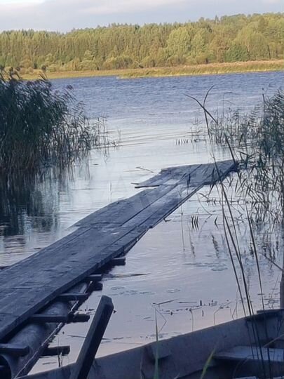 Участок 25 сот. (ИЖС)