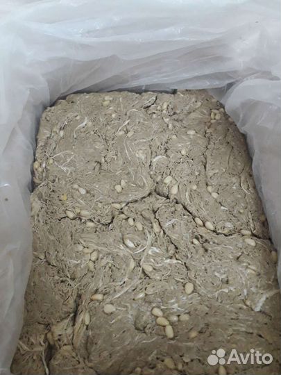 Халва подсолнечная с кедровым орехом Люкс