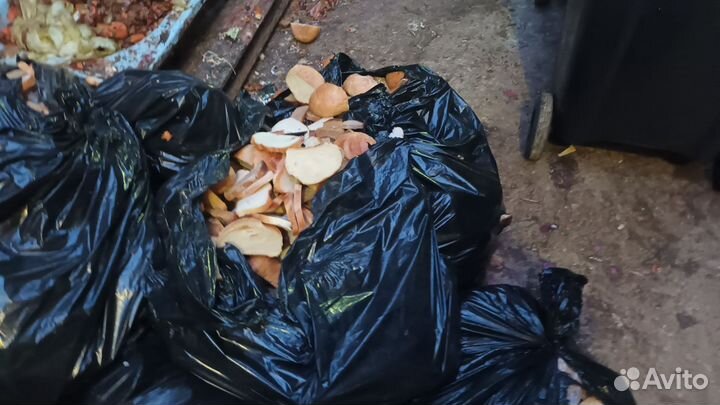 Пищевые отходы от варки кухонь на корм животных