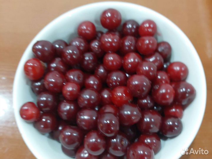 Вишня свежая