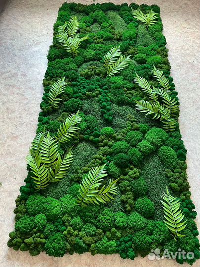 Озеленение без ухода