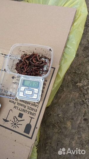 Охота и рыбалка