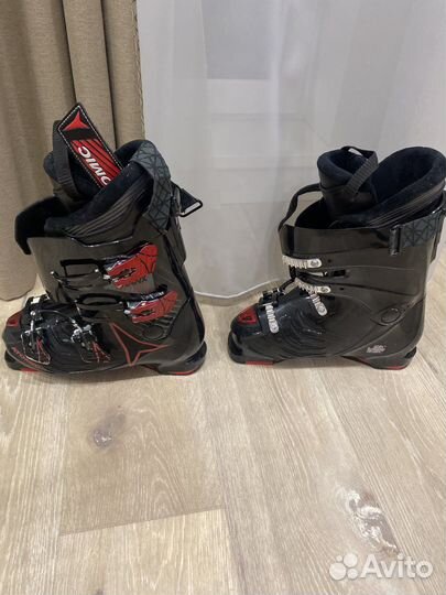 Ботинки для горных лыж