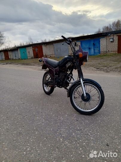 Зид пилот 50