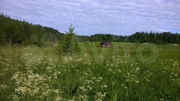 Участок 20 сот. (СНТ, ДНП)