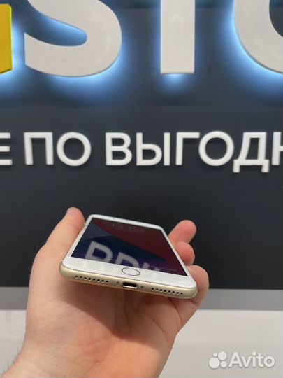 Готовый бизнес кингстор