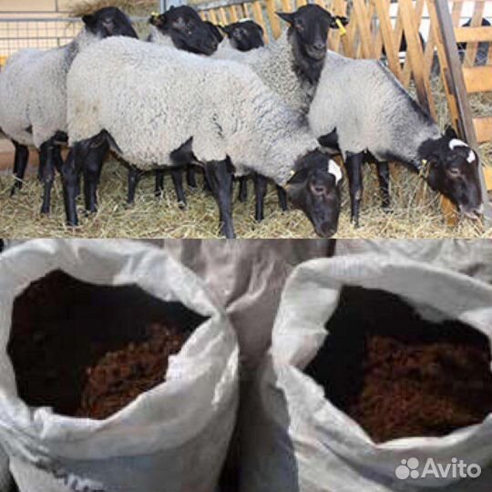 Навоз овечий