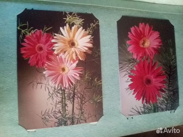 Открытки СССР с 1956г цветы коллекция