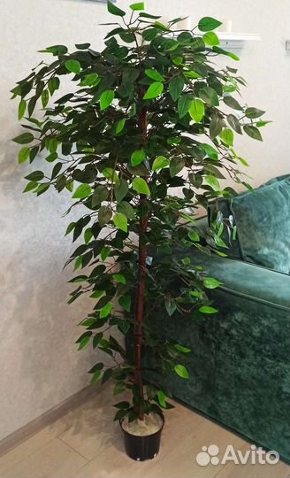 Искусственное дерево, фикус Бенджамина