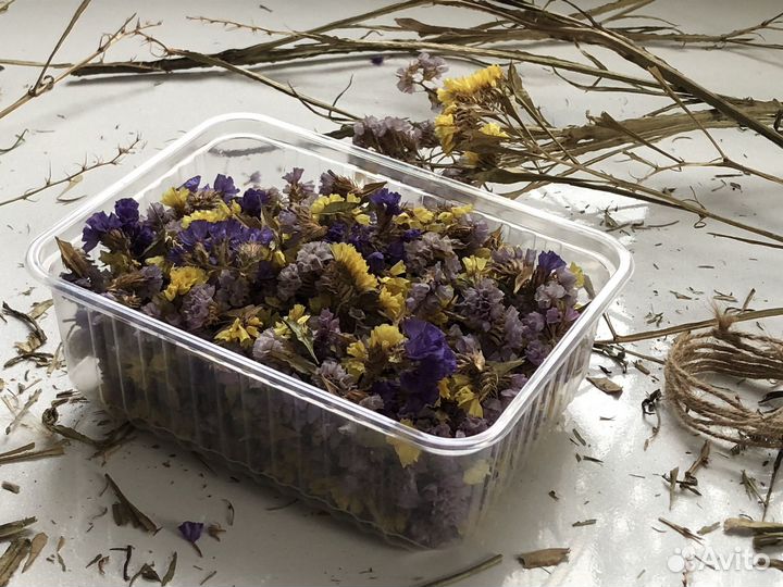 Цветы сухоцветы