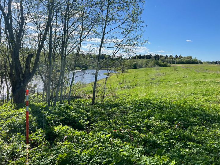 Участок 9,8 сот. (СНТ, ДНП)