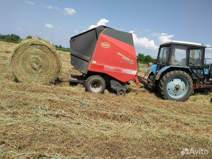 Продам сено