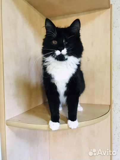 Боня 8 месяцев