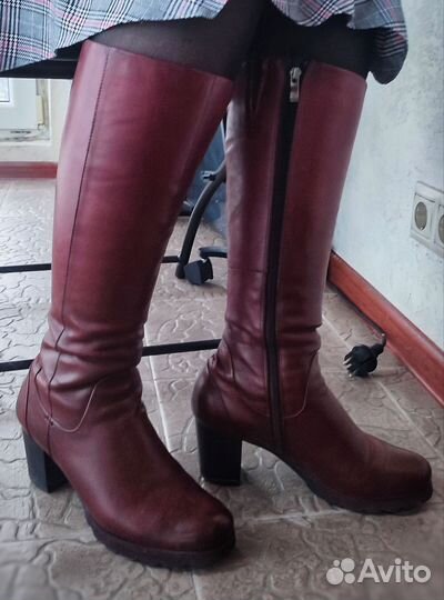 Сапоги женские