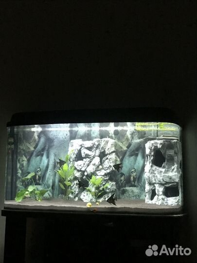 Аквариум 200 литров (Оазис 200)