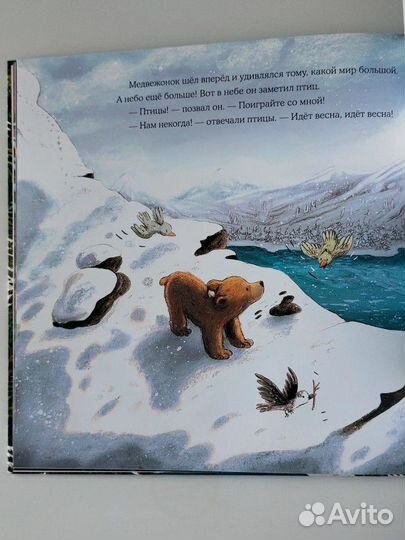 Весна медвежонка книга