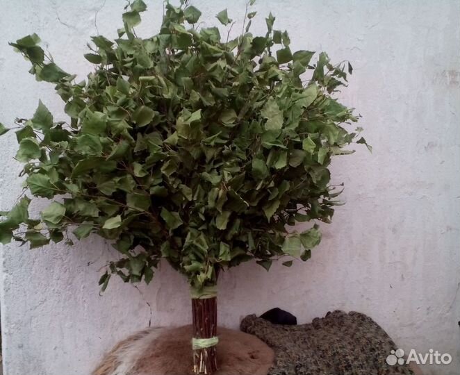 Веники для бани березовые и дубовые