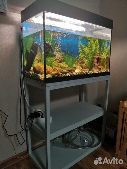 Аквариум