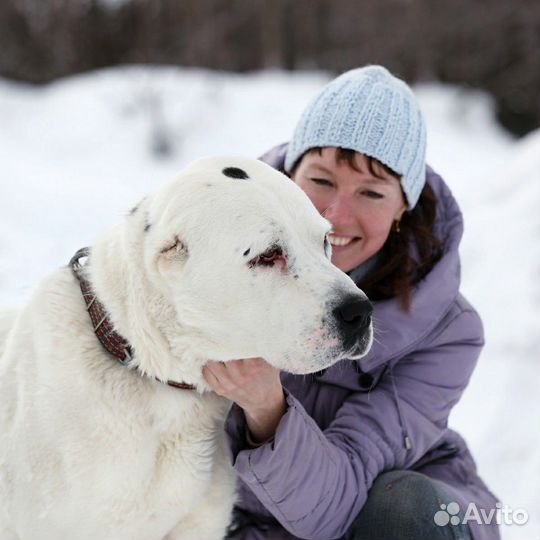 Зоогостинница для собак