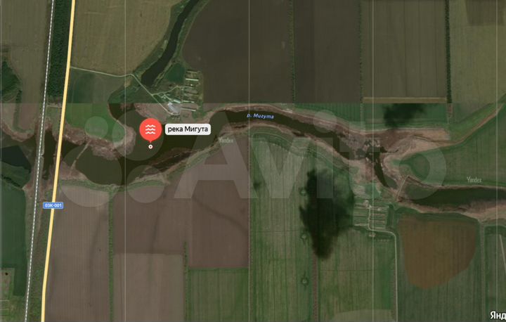 Участок 49 га (СНТ, ДНП)