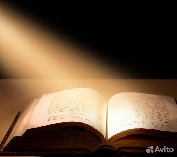 Обучение школьным дисциплинам и английскому языку